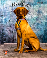 A18I5309-Edit-Edit