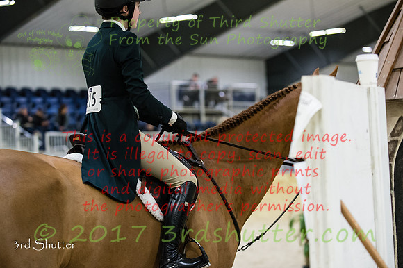 _1SF0919