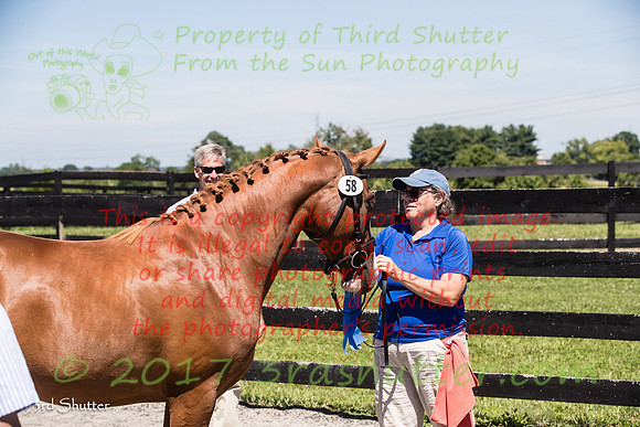 A18I3423