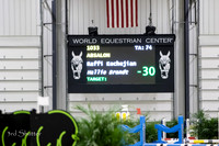 1033