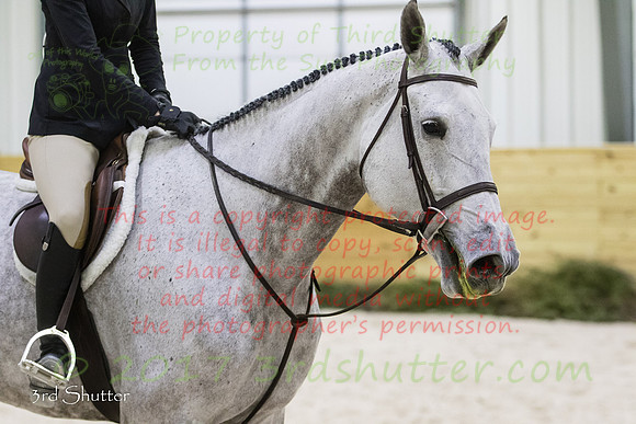 BV2A4157