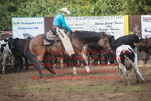 A18I0628
