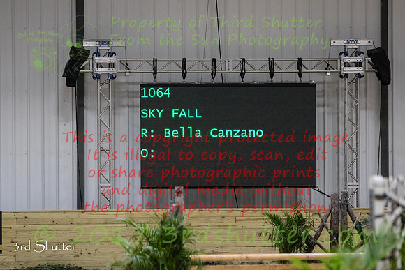 0M3A3207