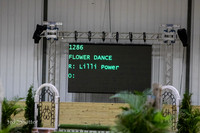 1286