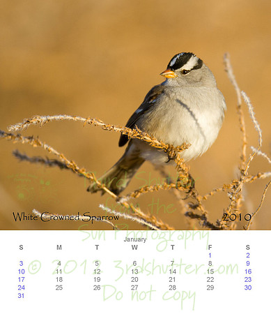 2010 Calendar_2