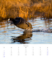 2010 Calendar_3