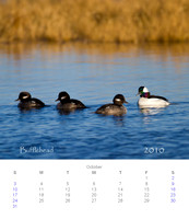 2010 Calendar_11