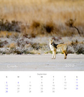 2010 Calendar_10