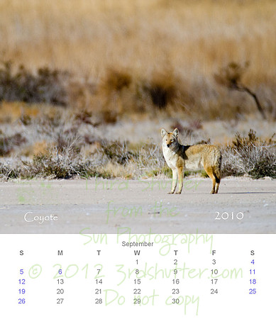 2010 Calendar_10