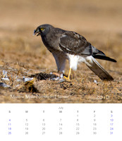 2010 Calendar_8