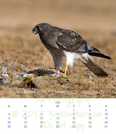 2010 Calendar_8