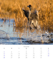 2010 Calendar_13