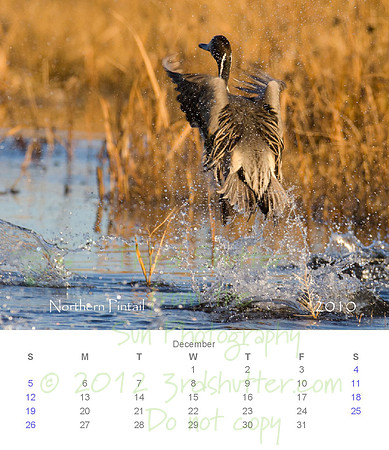 2010 Calendar_13