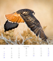 2010 Calendar_12