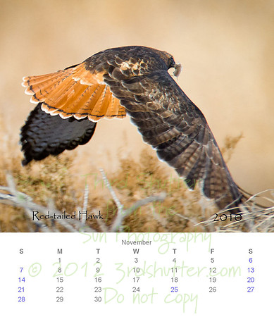 2010 Calendar_12