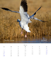 2010 Calendar_4