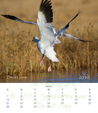 2010 Calendar_4