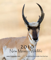 2010 NM Wildlife Calendar