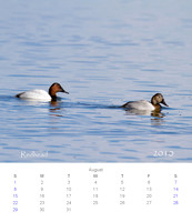 2010 Calendar_9