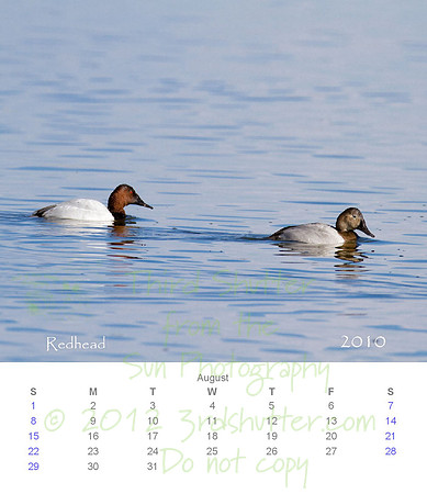 2010 Calendar_9