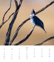 2010 Calendar_7