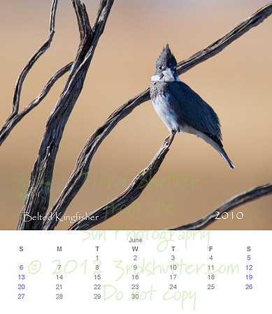 2010 Calendar_7