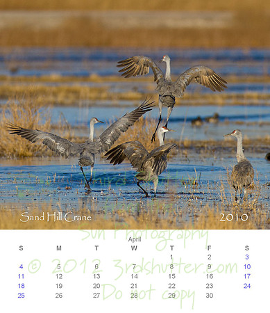 2010 Calendar_5