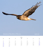 2010 Calendar_6