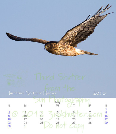 2010 Calendar_6