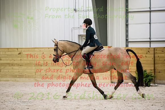 _SF12291