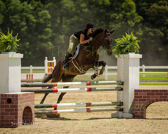 BN1C2485