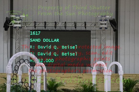 0E5A7013