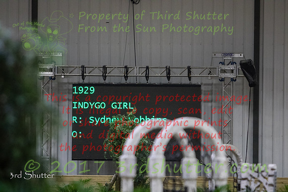 0E5A8094