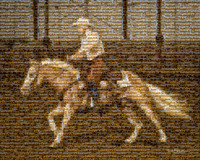 BN1C9837-Edit Mosaic - Signed