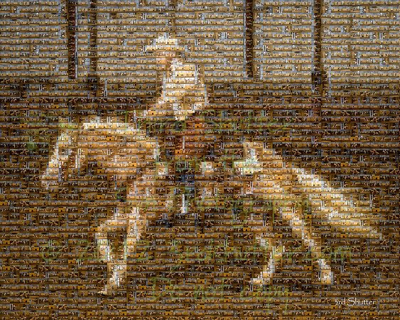 BN1C9837-Edit Mosaic - Signed