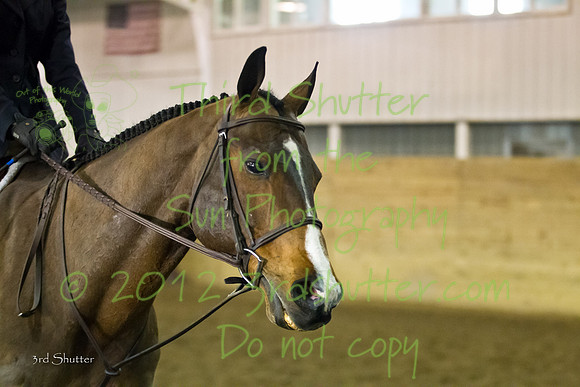 BN1C2759