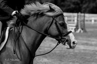 IMG_3943