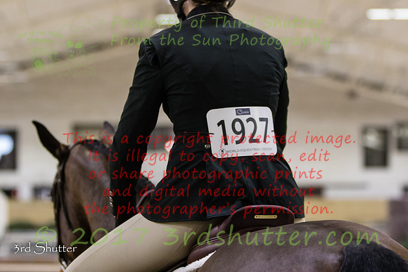 0M3A1379