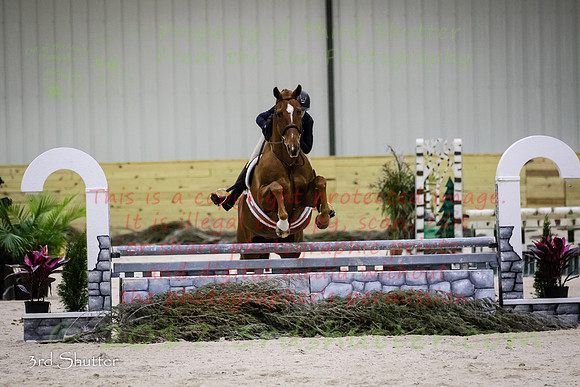 BV2A2931