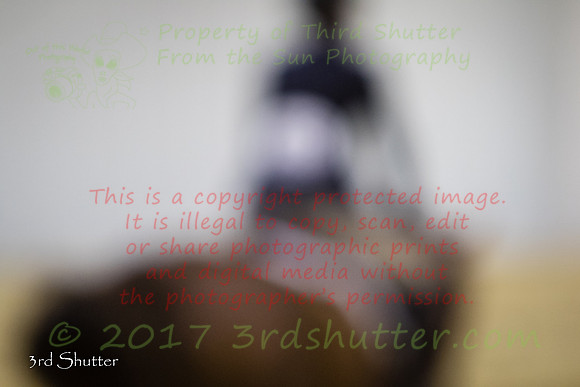 0E5A3142