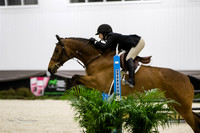 0M3A3384