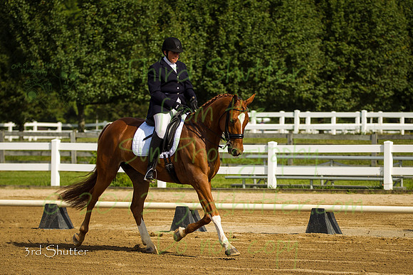 BN1C1726