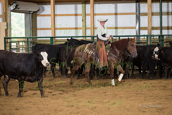 BY5Q0774