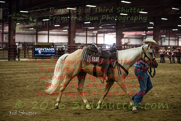 A18I7666