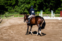 IMG_0527