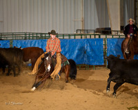 Steiger