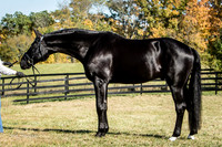 Oakwood Farm - 10-14-15