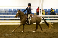 BN1C7514