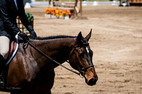 IMG_8578-2