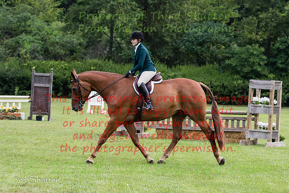 BV2A1204
